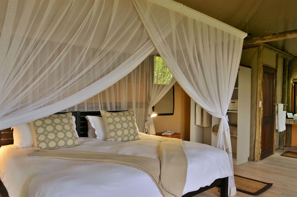 Ghoha Hills Savuti Lodge